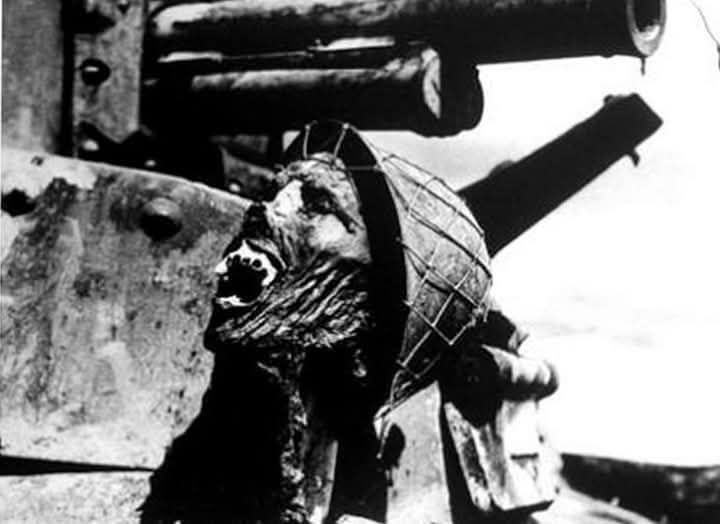 Fotografía que inspiró el aspecto cadavérico inicial de Eddie, utilizada como referencia por Derek Riggs.