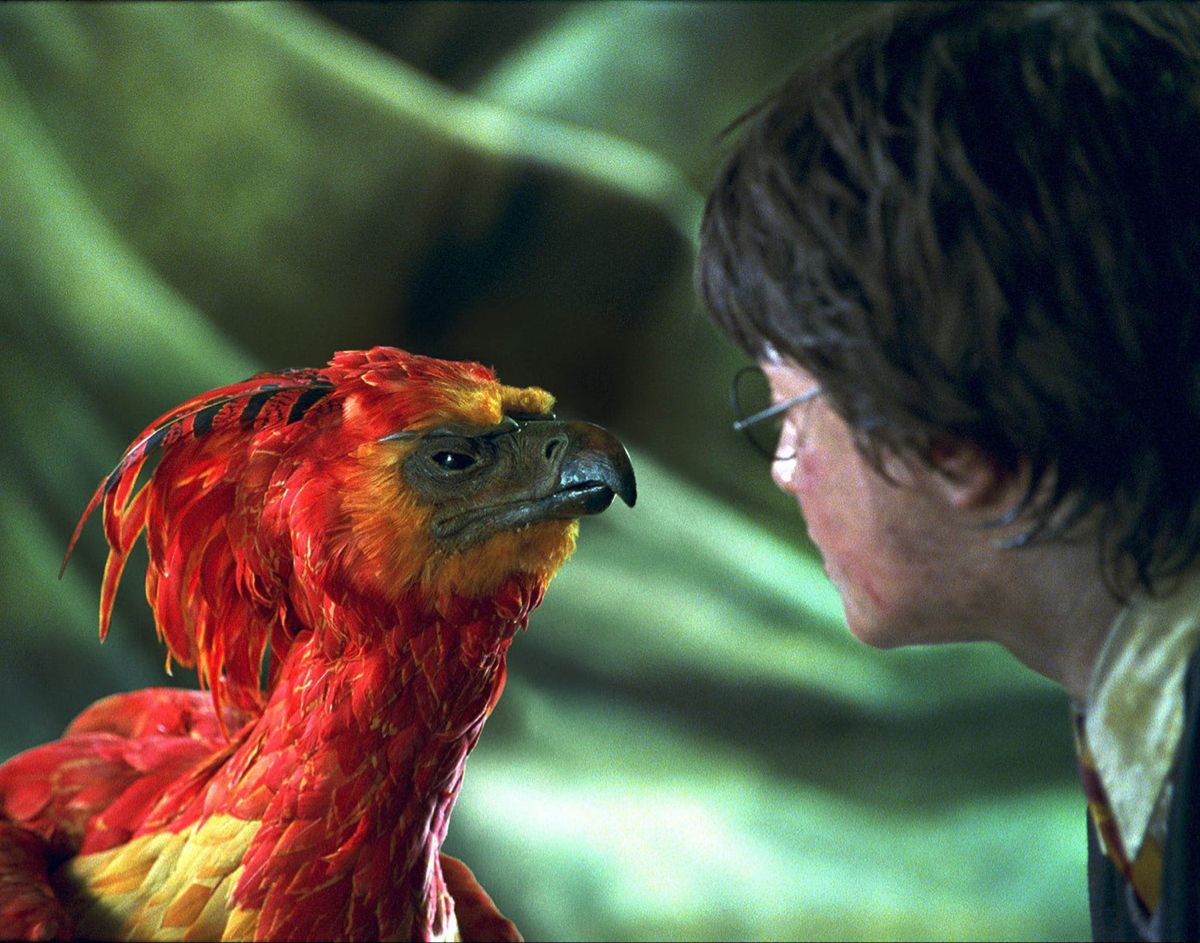 Fénix