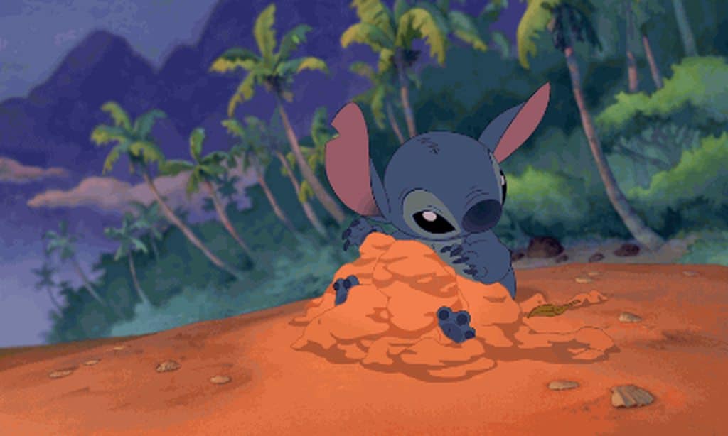 Stitch